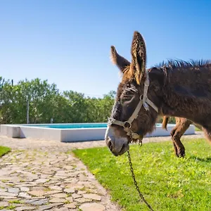 Agroturismo Burro, Portimão